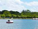 大濠公園★アヒルボート★