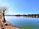 大濠公園(朝日)