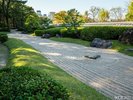 『大濠公園 日本庭園』は、広大な池と緑が美しい福岡屈指の癒しスポット。