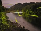 初夏の奥薩摩ではホタルの乱舞が見られます。運が良ければ客室のテラスから観賞できることも。