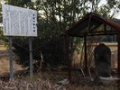 紫尾の田の神:地元の人たちが親しみを込めて「田の神さぁ」と呼ぶ、町指定文化財の神像です。