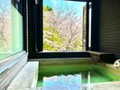【TypeD】内風呂付客室。春には窓から桜を眺めながら、名湯・紫尾温泉をご堪能いただけます。