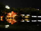 秋_玄宮園と彦根城夜のライトアップ