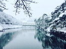 冬_彦根城のお堀