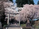 大崎八幡宮
