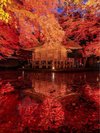 中尊寺
