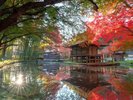 中尊寺