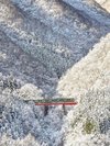 冬の仙山線