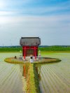 伊豆神社