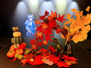 フロント【紅葉】