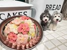 マーフィママ手作り♪わんちゃん用ケーキ