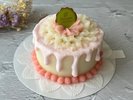 マーフィママ手作り♪わんちゃん用ケーキ
