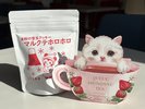 キューと感謝プラン特典