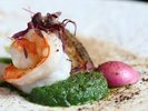 料理イメージ(SEBRI)