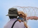 ドッグフレンドリー