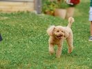 公園でお散歩!