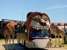 【那須サファリパーク】当館から車で4分