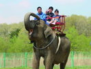 【那須ワールドモンキーパーク】当館から車で6分