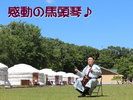 プロ奏者による馬頭琴ライブを毎夜開催しています。心を揺らす感動の馬頭琴の音色に浸ってください