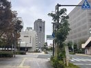 �G信号のない交差点を渡り、そのまま直進します