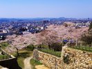 当館から車で約8分。久松公園付近は仁風閣や県立博物館など見どころ満載のエリアです!写真提供:鳥取県