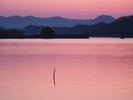 日本最大の池である湖山池はレジャーや写真スポットの名所として知られています!写真提供:鳥取県