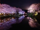 春には約500本のソメイヨシノが咲き誇る桜の名所としても人気の鹿野城跡。写真提供:鳥取県