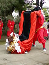 因幡の麒麟獅子は幸せを呼ぶ存在として、因幡地方の村々に受け継がれています。写真提供:鳥取県