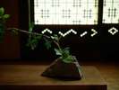 【歳吉屋】百一/町屋を感じる「襖」で繋がる続間/半露天風呂付