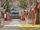 鷲宮神社…ホテルより車で25分関東最古の歴史ある大社です。初詣はぜひこちらへ!!