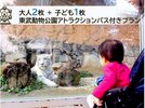 動物園に遊園地、夏は大型プールと1年中楽しむことができるハイブリッド・レジャーランドです。