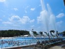 東武動物公園スーパープール…ホテルからお車で15分夏のプールはこちらで決まり!