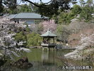 成田山新勝寺成田山公園