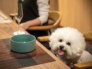 �Ƒ��݂�Ȃł̂��H���́A��񂿂����Ƒ����݂�Ȋ�������������֎q�ɍ����Ă�OK