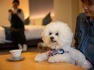 ��񂿂����ꏏ�ɂ��났�^�C���́A�K����������ЂƎ���