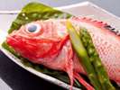 高級魚の吉次(きんき)