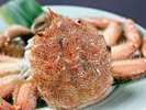 冬は毛ガニの季節!