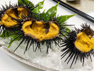 ■ある日のご夕食メニュー(季節提供)/三陸産の天然『キタムラサキウニ』。4月下旬〜7月