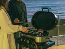 �������H�`�q���f�b�L�Ŗ{�i�O������BBQ�`