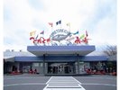 とれとれ市場