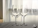 ◆貸出品 ワイングラス