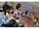 神戸どうぶつ王国カンガルーとのふれあい