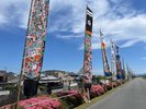 高瀬裏川花しょうぶまつり