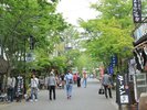 阿蘇神社参道 車で約90分