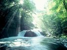 菊池水源 車で約40分〜60分