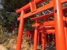 温泉稲荷神社