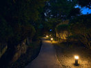 夜庭園