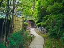 庭園
