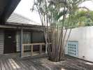 ホテル棟 和室山側のお部屋【和室3】