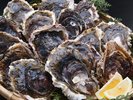 【天草オイスター】新鮮な牡蠣をたっぷりご堪能ください!